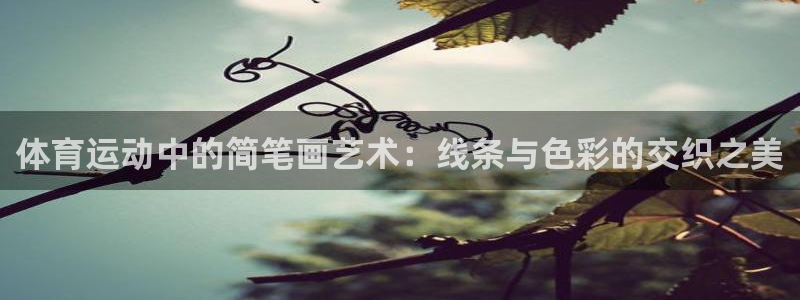 三亿体育网