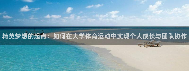 三亿体育网