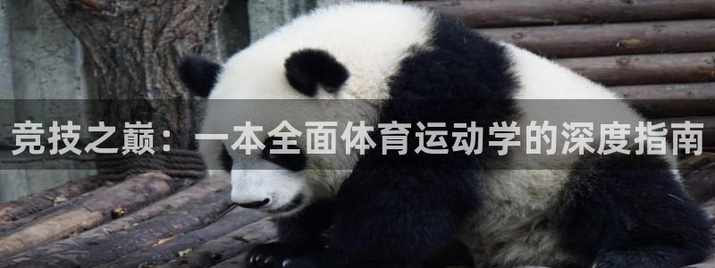 三亿体育网页版