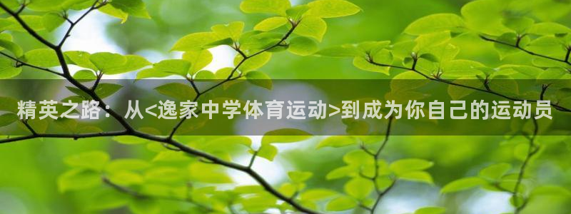 三亿体育网页版：精英之路：从<逸家中学体育运动>到成为你自己的运动员