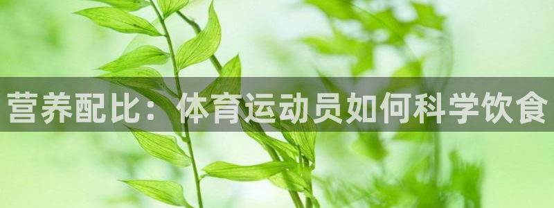 三亿体育：营养配比：体育运动员如何科学饮食