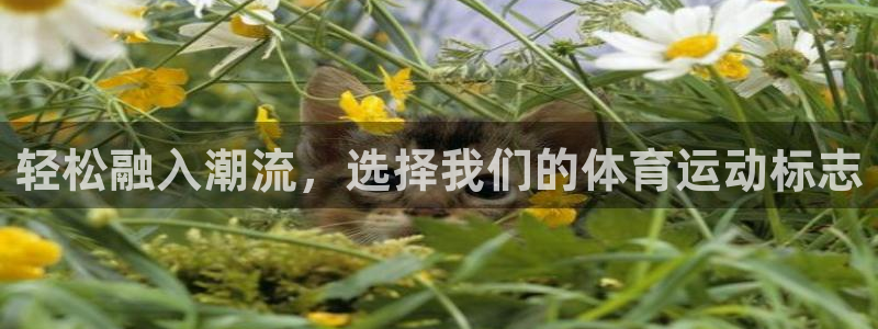 三亿体育登录：轻松融入潮流，选择我们的体育运动标志
