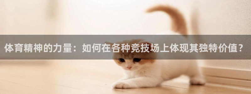三亿体育网页版：体育精神的力量：如何在各种竞技场上体现其独特价值？