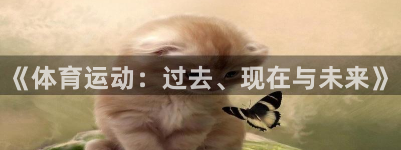 三亿体育网页版