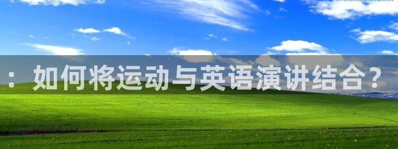 三亿体育网页版