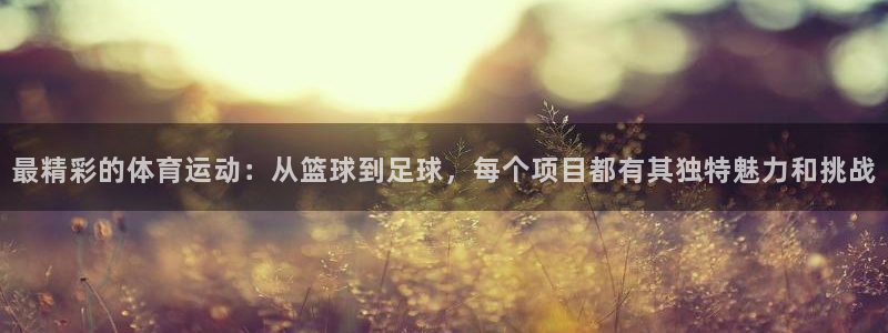 三亿体育网页版
